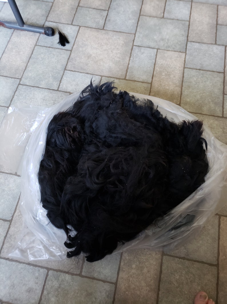 Op de afbeelding: Een grote plastic zak gevuld met een hoop zwart hondenhaar.