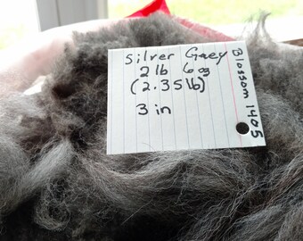 Raw Alpaca Fiber - Silver Gray    2 lb 6 oz    3" Staple Length