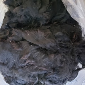 Op de afbeelding: Een grote stapel zwart dierenhaar in een doorzichtige plastic zak. Het haar is lang en verward.