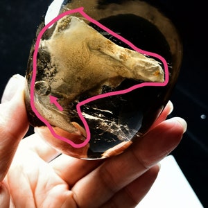Collection Tibetan High Altitude Smoky Enhydro Crystal Quartz Oval 1 Big Visible Moving Bubble & Moving Sand  3.11 in Energy #20221019