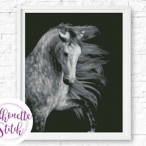 Horse Cross Stitch Pattern - Counted Cross Stitch Pattern - Hand Embroidery - Modern Pattern  - PDF File