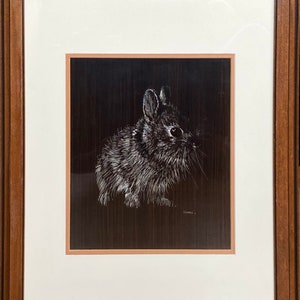 Scratchboard Rabbit ORIGINAL Steve SCHNARR Etched / Engraved Scratchboard Baby Bunny Rabbit ...
