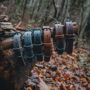 Leather Dog Collar | Handmade | Bespoke Leather Collar