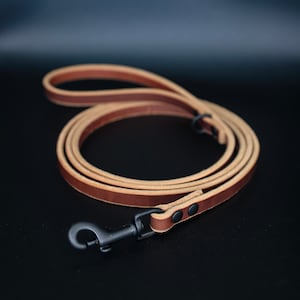 The Everyday Leather Leash (Walnut)