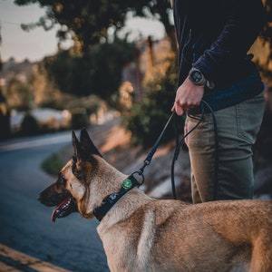 Leather Dog Leash image 2