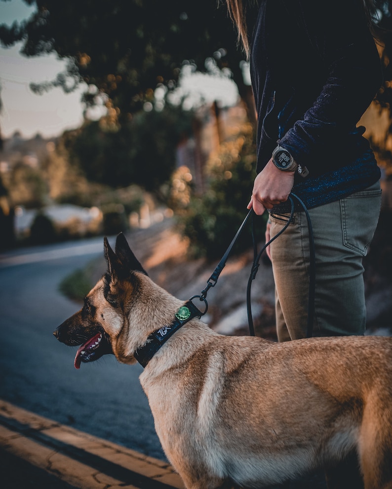 Leather Dog Leash image 2