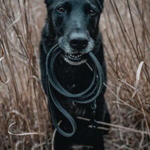 Leather Dog Leash image 4