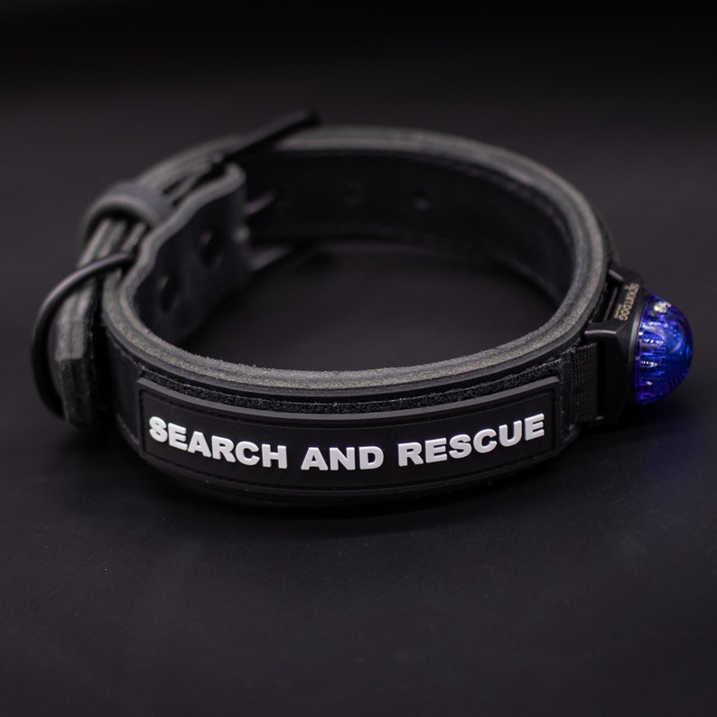 May include: Black leather dog collar with a blue flashing light and the words "SEARCH AND RESCUE" printed in white.