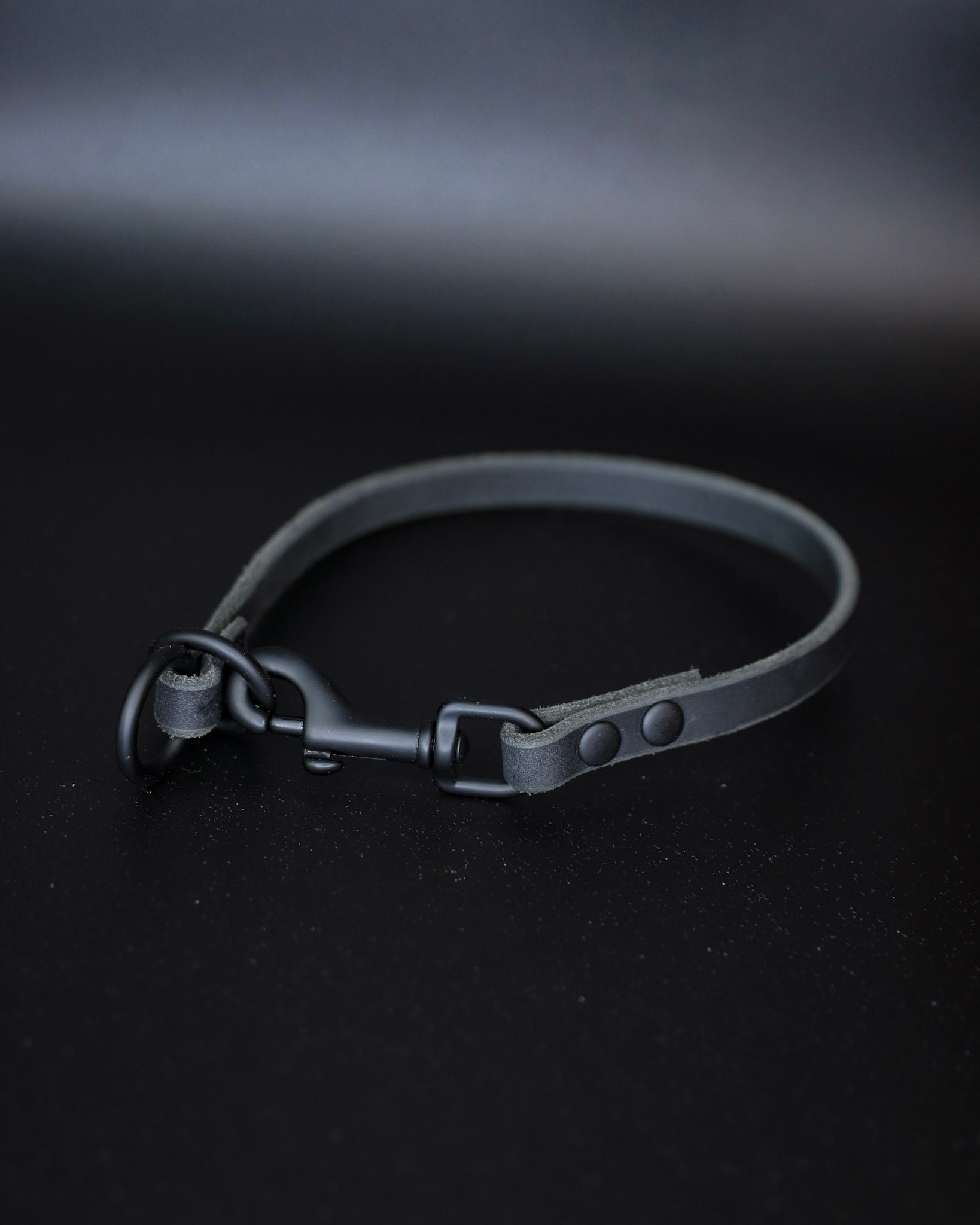 Leather Dominant Dog Collar Etsy