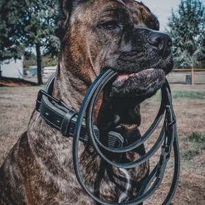 Leather Dog Leash image 3