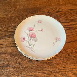 Royal Court Fine China Dinner Plates