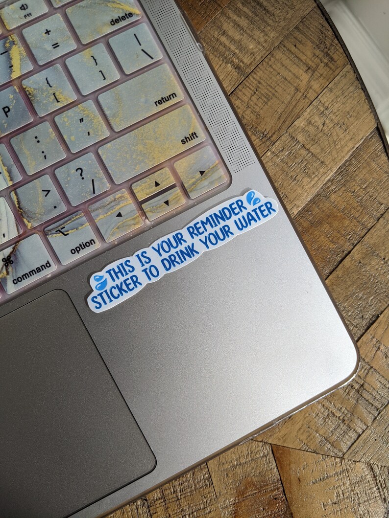 Water Reminder Sticker Pack Die-cut Decals for Notebooks - Etsy