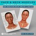 Facial Muscle Anatomy Poster Face and Neck Muscles Chart Printable ...