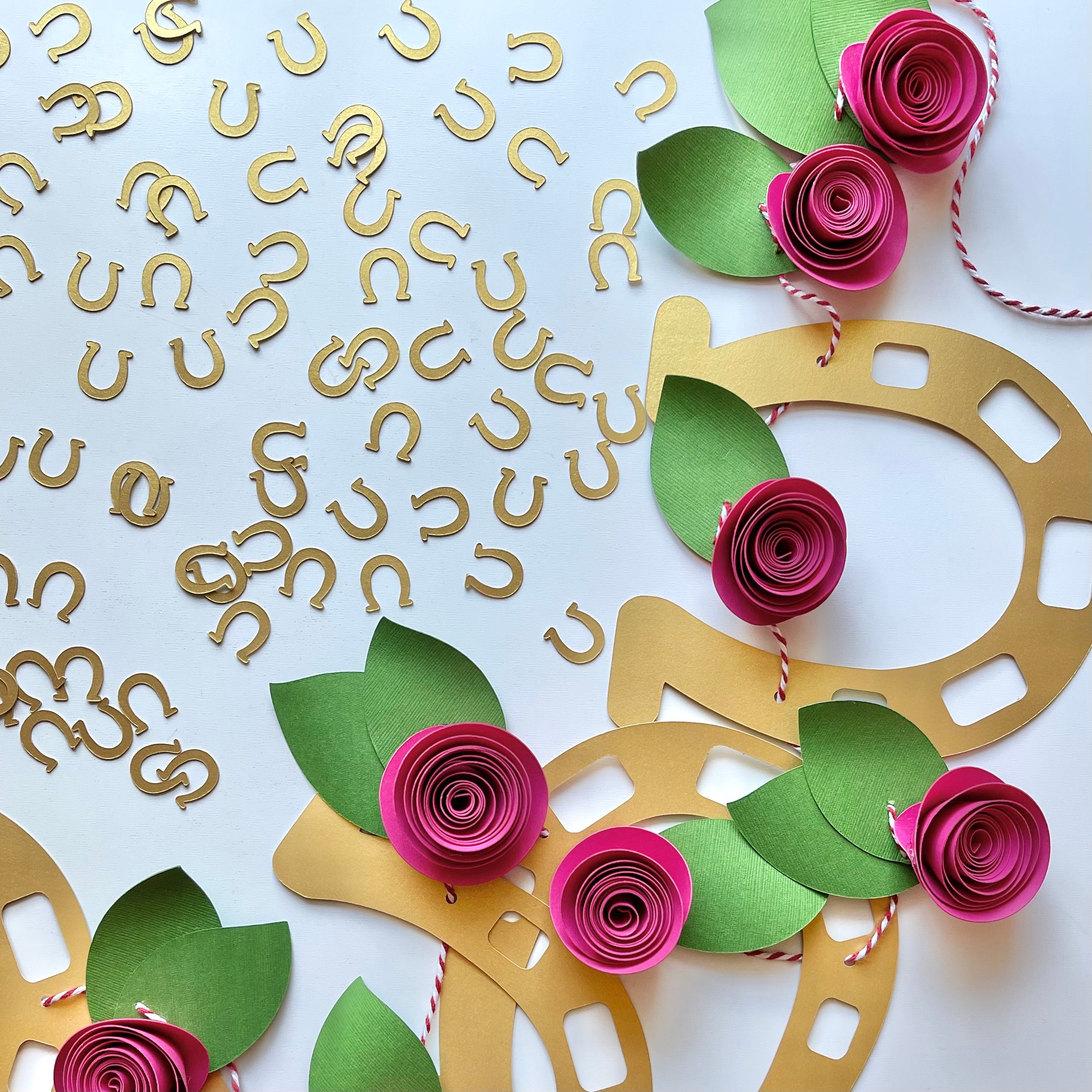 Party Supplies Bachelorette Kentucky Derby Horseshoe Confetti Bridal