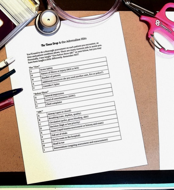 Ems Assessment Notes Pdf Available For Instant Download For Etsy Ems Assessment Notes Pdf Available For Instant Download For Etsy