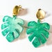 see more listings in the Monstera section