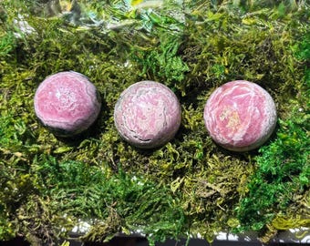 May include: Three pink and white patterned spheres, likely made of a type of stone, are arranged in a row on a bed of green moss.