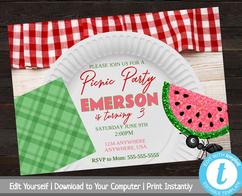 Picnic Party Invitation Picnic Birthday Party Printable - Etsy
