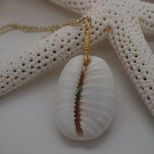 Cowrie shell pendant, Gold Chain Beach Charm Necklace, Hawaiian Sea Shell Beach Time Tropical Necklace, Aloha Beaches Boho Necklace image 4