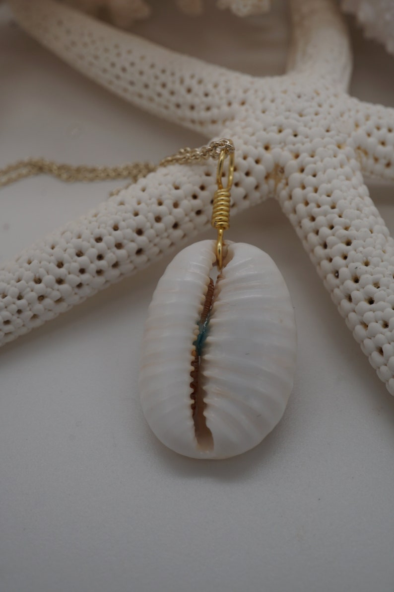 Cowrie shell pendant, Gold Chain Beach Charm Necklace, Hawaiian Sea Shell Beach Time Tropical Necklace, Aloha Beaches Boho Necklace image 4