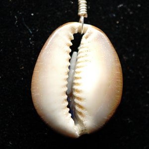 Cowrie Shell Beach Pendant Necklace, Beach Jewelry, Ocean Lovers Beach Necklace, Tropical Jewelry for Her, Sea Shell Pendant, Boho Jewelry image 2