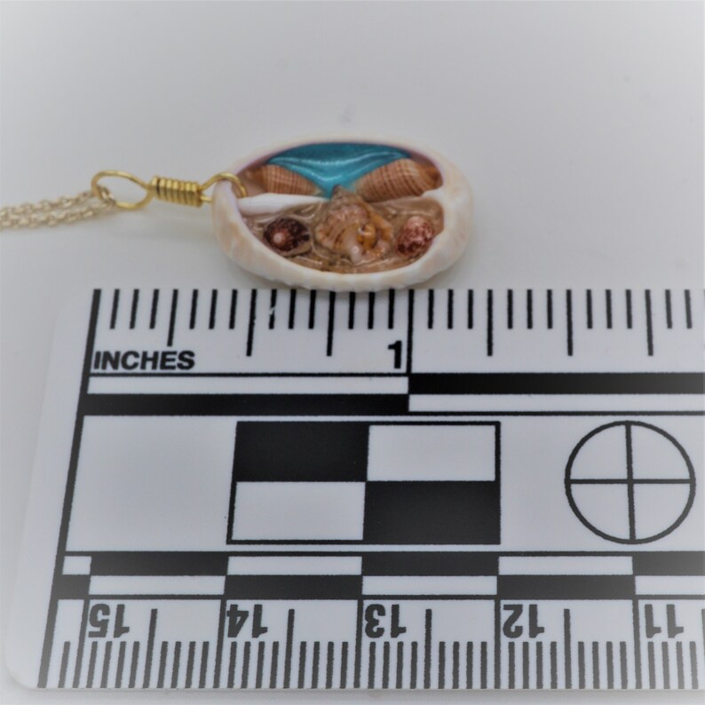 Cowrie shell pendant, Gold Chain Beach Charm Necklace, Hawaiian Sea Shell Beach Time Tropical Necklace, Aloha Beaches Boho Necklace image 5
