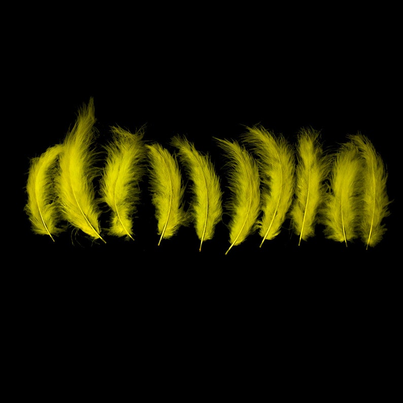 Puede incluir: Una fila de nueve plumas de color amarillo brillante dispuestas horizontalmente sobre un fondo negro.