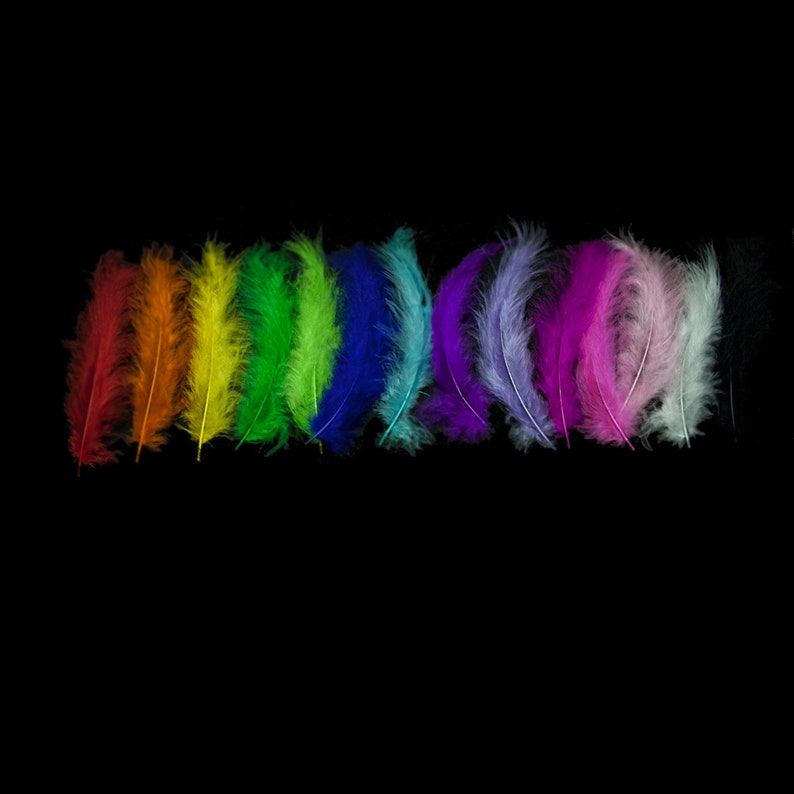 K&ouml;nnte beinhalten: Eine Reihe von Federn in einem Regenbogen von Farben, von Rot bis Wei&szlig;, vor einem schwarzen Hintergrund.