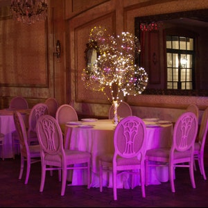 Palloncini LED, Palloncini trasparenti da 18 pollici con stringhe luminose a LED da 118 pollici, RIUTILIZZABILI, Utilizzo di elio e aria, Quantità di 12 di 2 colori LED