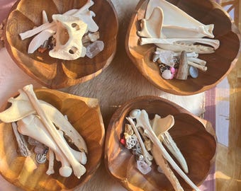 Large Bone Throwing Set / Crystals / Animal Bones / Sea Shells / Witchy Divination / Osteomancy / Charms / Bone Reading / Bone Throwing