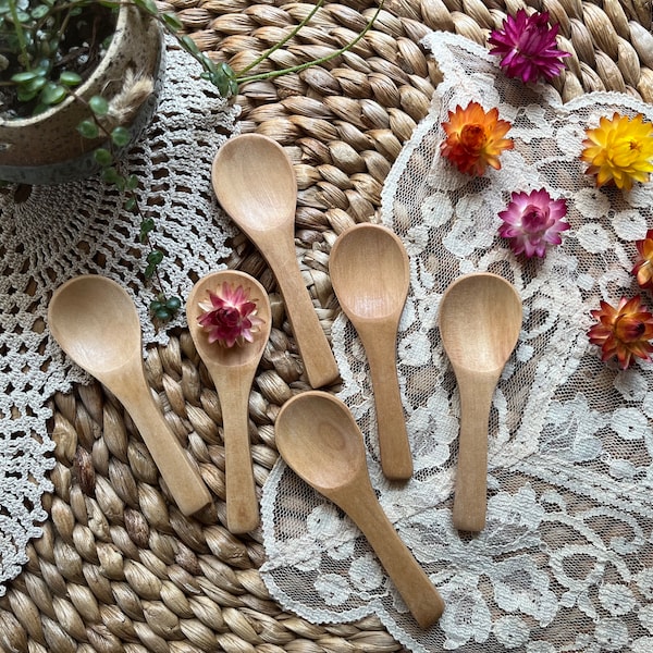 Small Wooden Spoons (SET OF 6) / 3.5 Inch Wood Spoon