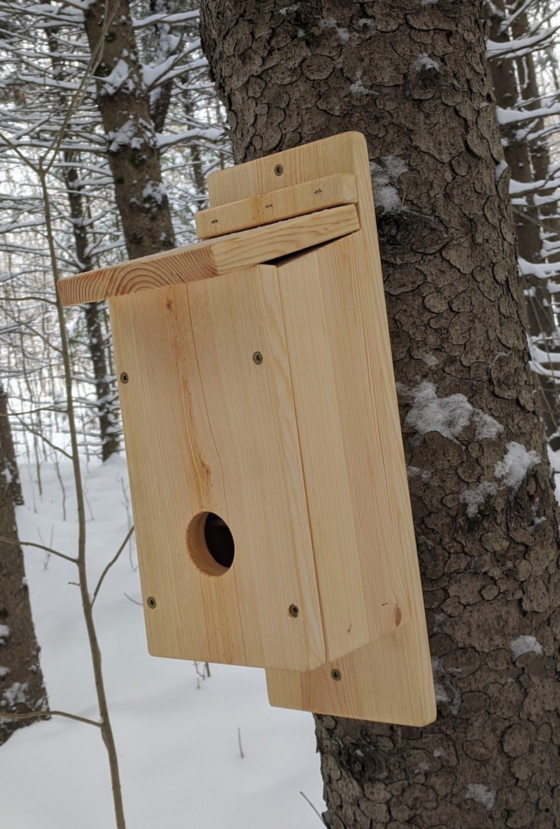 Roosting BoxRoost BoxBird Roosting BoxBird Roost BoxBird Etsy