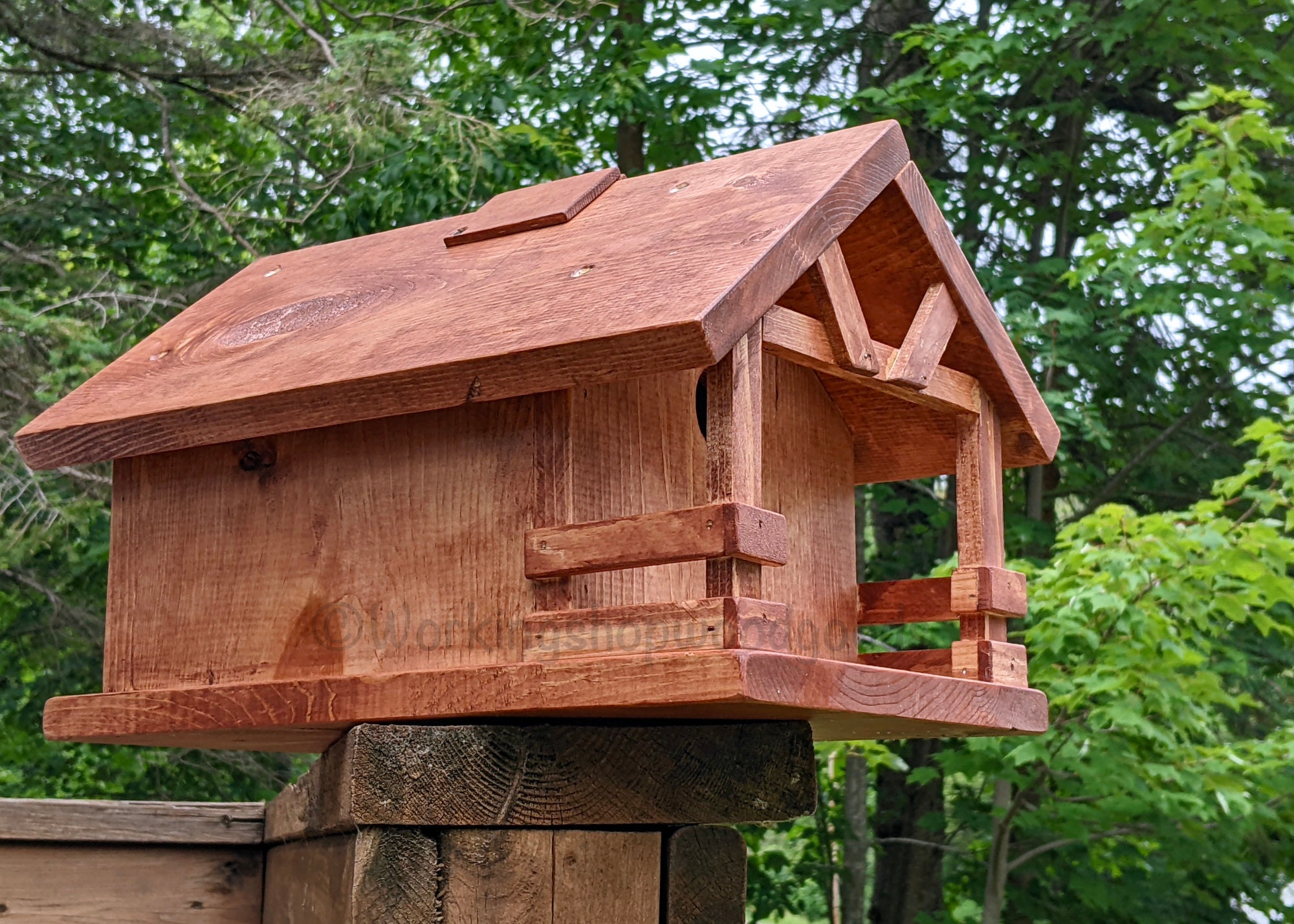 Cabin Birdhouse With HD CAMERA! - Birdhouse With Front Porch