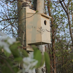 Owl House - Screech Owls - Owl Nesting Box - Wood Duck House - Eekhoornhuis