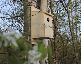 Owl House - Screech Owls - Owl Nesting Box - Wood Duck House - Squirrel House