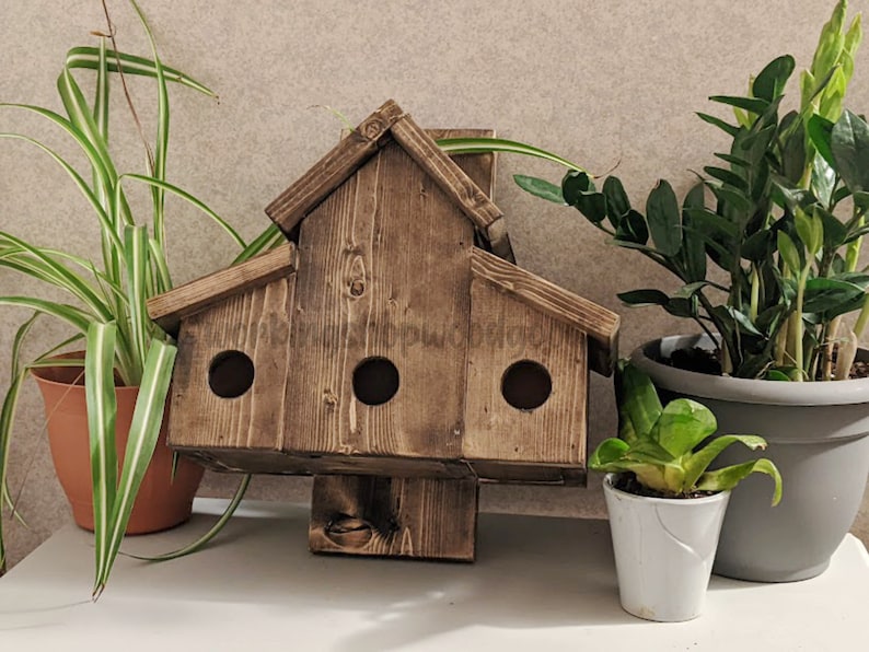 Dual Roost Box Winter Birdhouse Nest Box Bluebirds Chickadees - Etsy