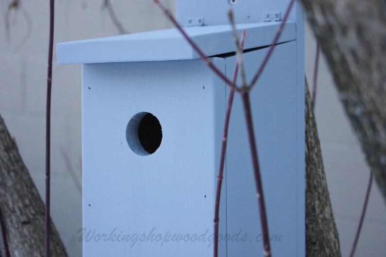 Western Bluebird House Birdhouse for Chickadees House Wrens Bluebird