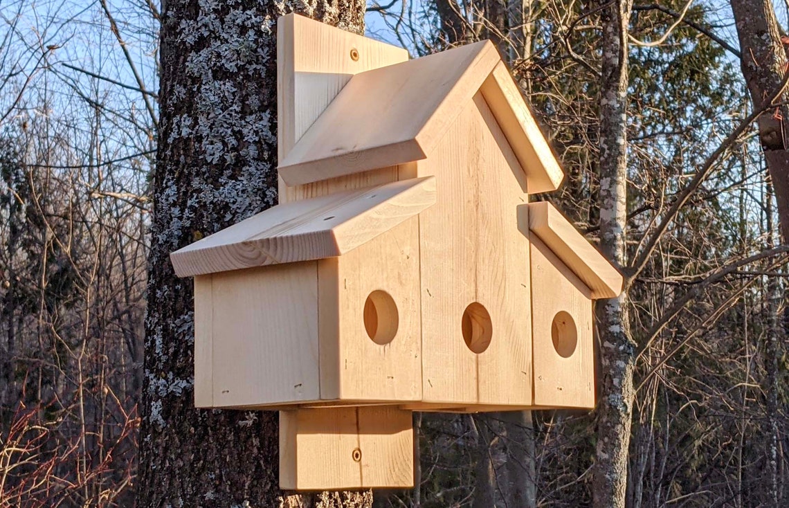 Dual Roost Box Winter Birdhouse Nest Box Bluebirds Chickadees Etsy
