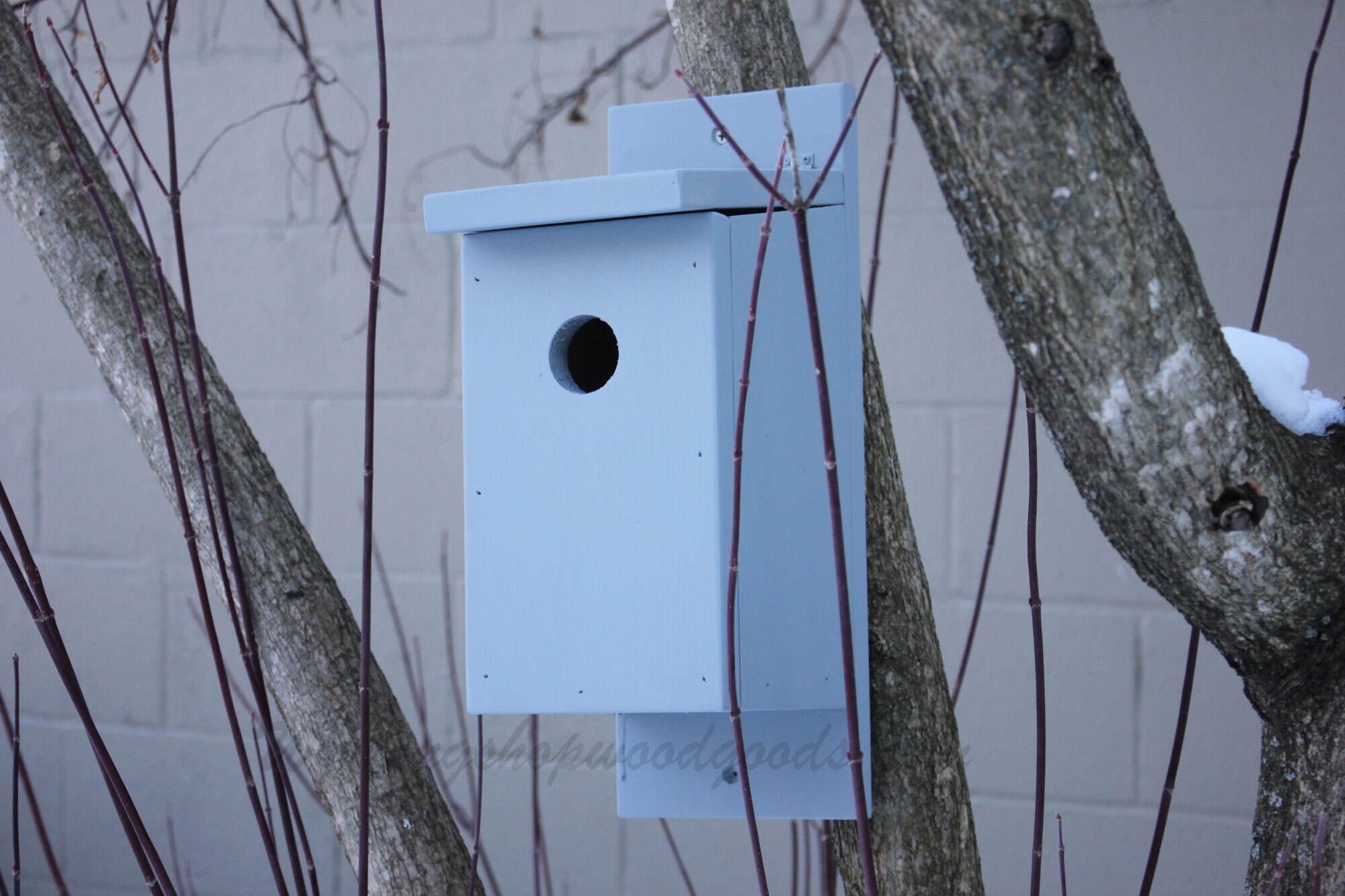 Western Bluebird Nest Box