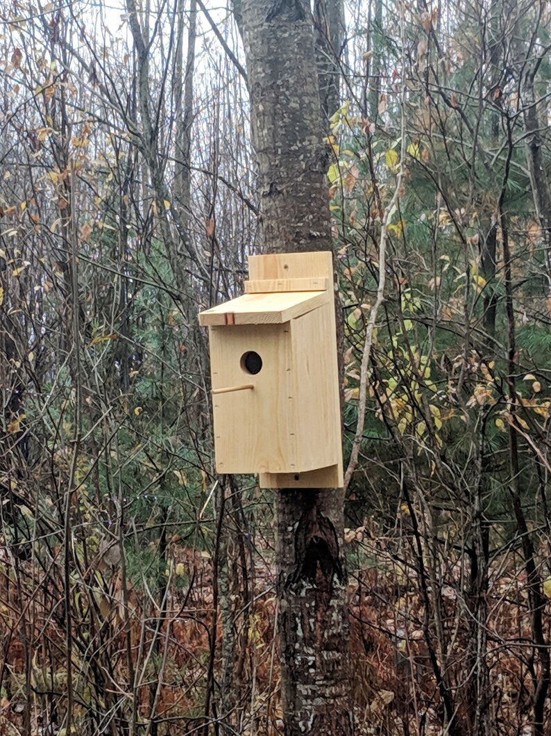 Western Bluebird House Birdhouse for Chickadees House Wrens Bluebird