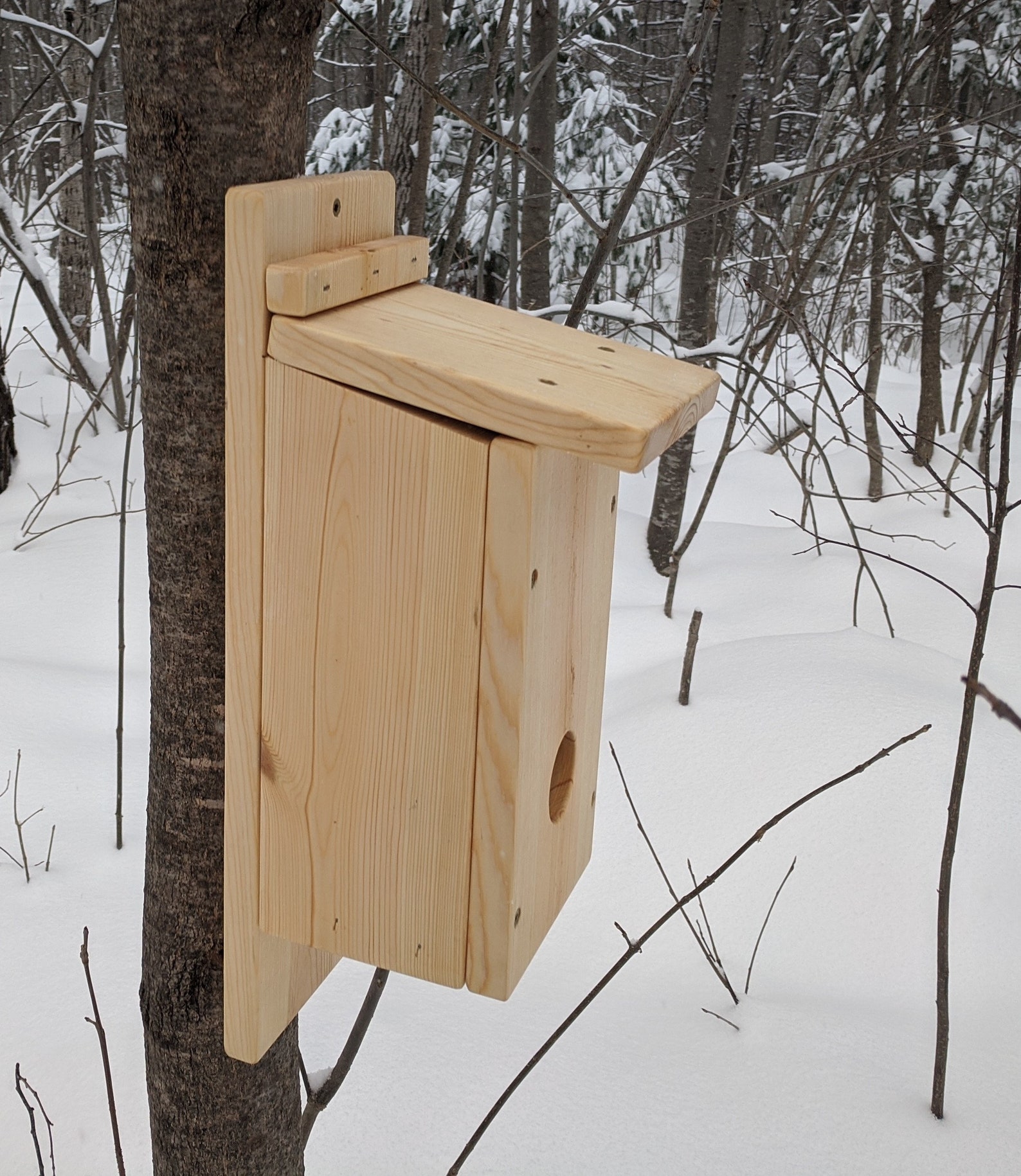 Roosting Box Bluebird Birdhouse Winter Roost Box Nesting | Etsy