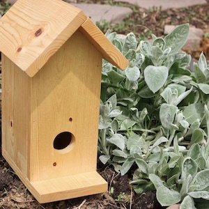 Birdhouse Nest Box - Nesting Box - Birdhouse for Nesting Birds - Custom Birdhouse - Titmice Birds