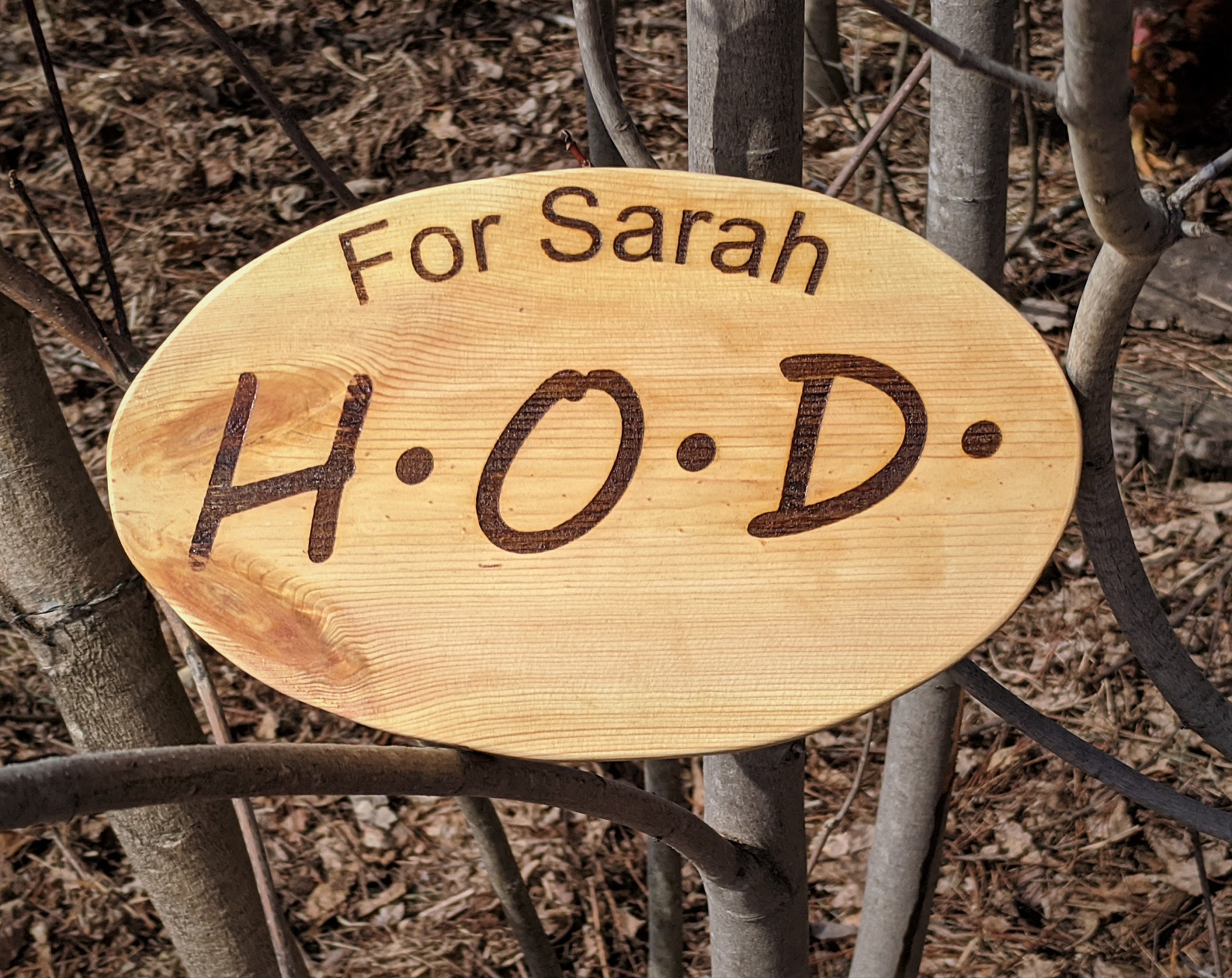 Wood Signoval Signcustom Oval Signfinished Wood Etsy