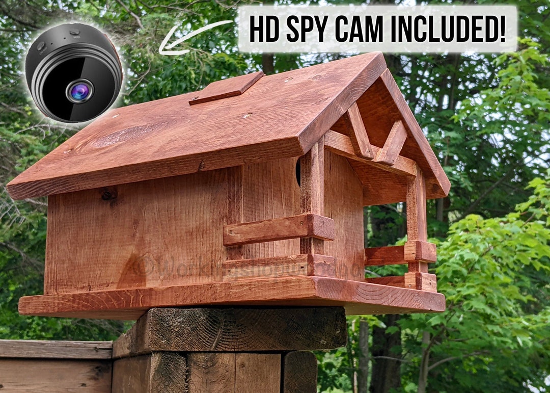 Cabin Birdhouse With HD CAMERA Birdhouse With Front Porch Birdhouse
