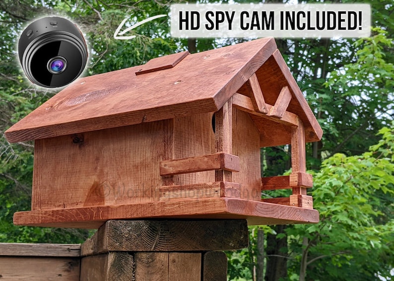 Cabin Birdhouse With HD CAMERA Birdhouse With Front Porch Birdhouse