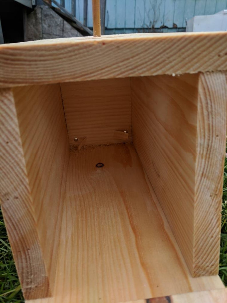 Western Bluebird House Birdhouse for Chickadees House Wrens Bluebird