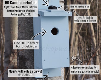 Birdhouse With HD CAMERA! - Bluebird Birdhouse - Outdoor Decor - Summer Nest Box