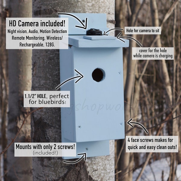 Camera Bluebird Box - Etsy