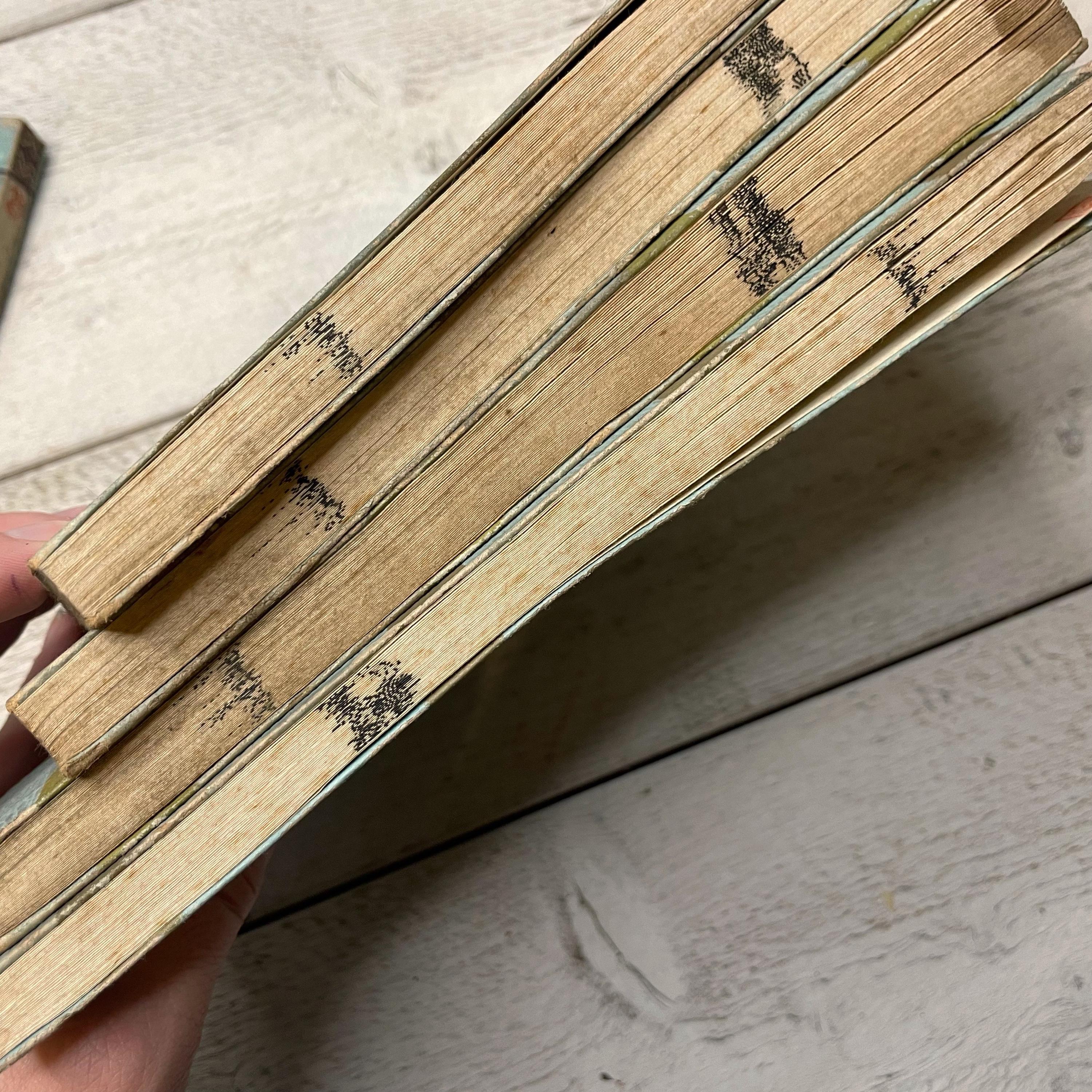 Antique Japanese Book, Complete Soft Cover Book, Asian Writing