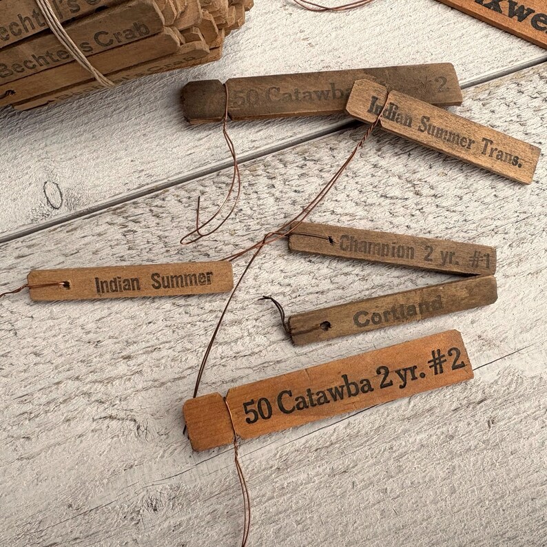 String Row Markers Vintage Garden Markers - 10 Random Pcs - Wooden Used Flower Tags ...
